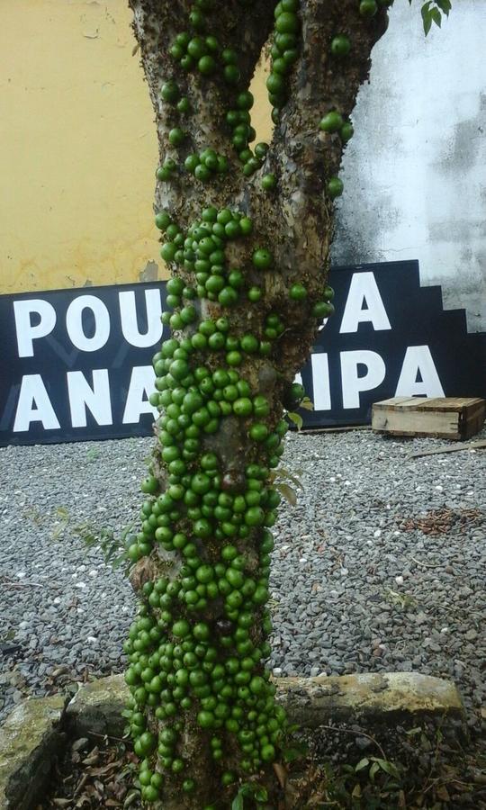 Pousada Ana Poipa 戈亚尼亚 外观 照片